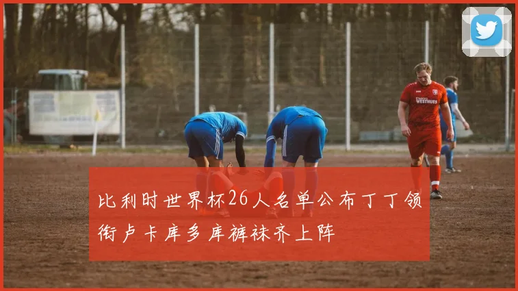 比利时世界杯26人名单公布丁丁领衔卢卡库多库裤袜齐上阵