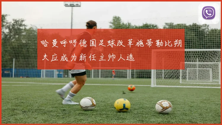 哈曼呼吁德国足球改革施蒂勒比朔夫应成为新任主帅人选